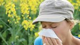 How to Prevent Allergies During Sneezing Season
