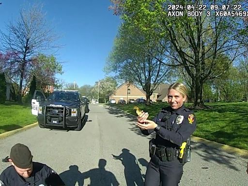 Westerville police rescue 2 ducklings trapped in storm drain