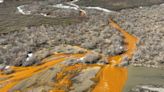 El cambio climático tiñe de naranja los ríos de Alaska y amenaza el ecosistema acuático