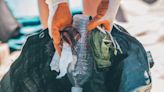 Plastic bag litter falls by 80% on beaches over a decade, seaside clean-ups show | ITV News