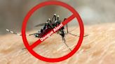 Dengue Alert: Doctor Warns Of Serious Brain And Nervous System Impact