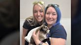 Stowaway cat shipped 650 miles from home in Amazon box