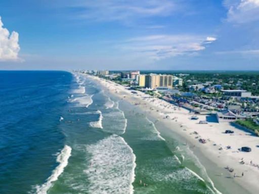 New Smyrna Beach In Florida Most Dangerous In The USA - News18