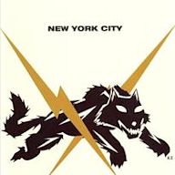 Live at the Fillmore New York at Irving Plaza November 13, 2006 [DVD]