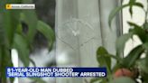 81-year-old man dubbed 'serial slingslot shooter' arrested for terrorizing California neighborhood
