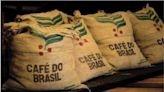 Ensaio da Ufla define sabor e aroma do café - Além do Fato