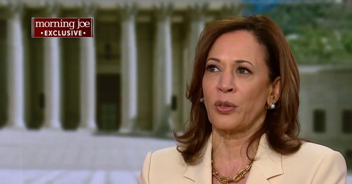 'It's insulting': VP Harris slams Trump for saying his indictments appeal to Black voters