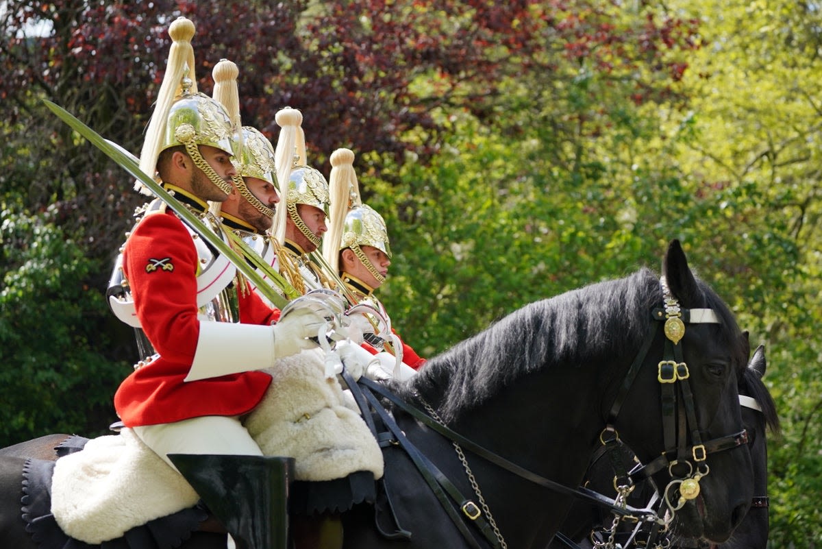 Army denies whistleblower claims horses only get one hour exercise from ‘dark, rat-infested barracks’