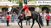 How the King’s favourite horse will show his return to strength in Trooping the Colour