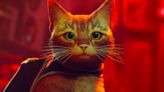 Stray, el juego protagonizado por un gato adorable, tendrá una película animada