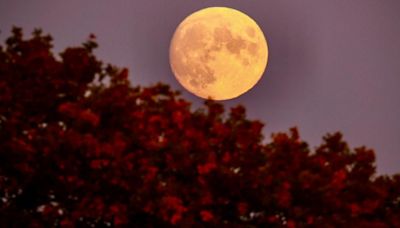 When is the next full moon? October 2024's Hunter's Moon is almost here