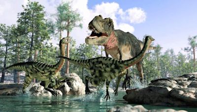 280 million years old giant fossil of top predator Salamander dinosaur discovered by paleontologists