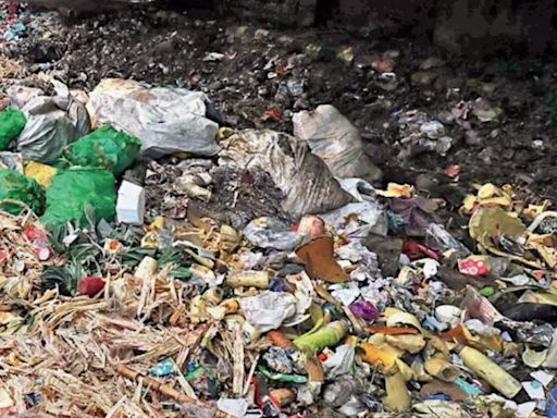 Gurgaon municipal body set to pay cos Rs 2.3 crore for garbage collection, transportation | Gurgaon News - Times of India