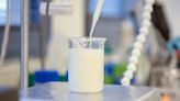 Biotech companies are trying to make milk without cows