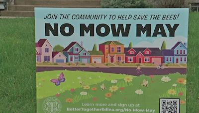 Does "No Mow May" really do anything for your lawn?
