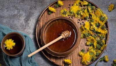 What's The Taste Difference Between Dandelion And Bee Honey?