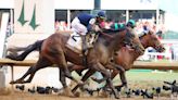 The Belmont Stakes horses, post positions and odds