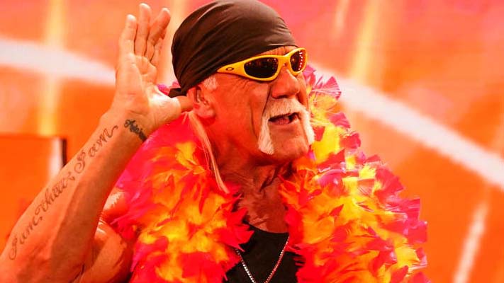 Video: Comedian Trolls Hulk Hogan Once Again - PWMania - Wrestling News