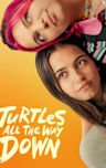 Turtles All the Way Down (film)