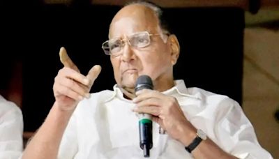 Poll Panel Allows Sharad Pawar's Party To Accept Donations Ahead Of Maharashtra Assembly Elections