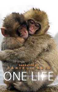 One Life (2011 film)