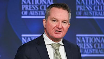 War of words erupts between 'cooker' senator and Chris Bowen