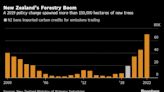 Millions More Trees Isn’t the Climate Fix New Zealand Thought