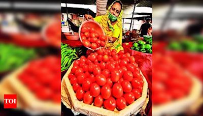 Tomato prices to remain high in August due to supply crunch | Jaipur News - Times of India