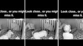 Scared mom claims nursery cam captured paranormal activity in baby’s crib: ‘It’s time to move’