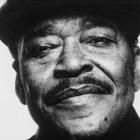 James Cotton