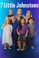 7 Little Johnstons