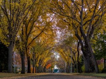 5 Edmonton neighbourhoods we think will be cool in the future | Urbanized