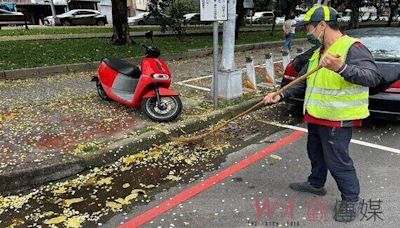 落葉資訊智慧化管理 中市環保局推「行道樹落葉資訊地圖」守護行車安全 | 蕃新聞