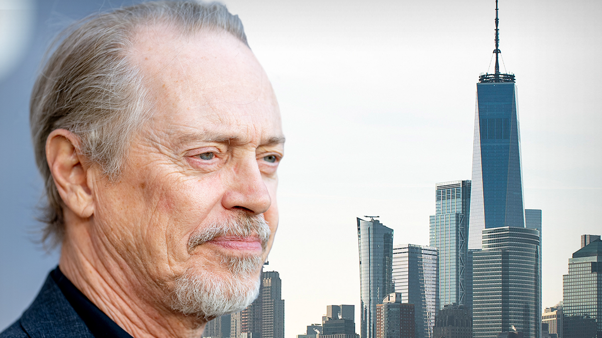 Steve Buscemi Says Man Randomly Attacked Him in New York City