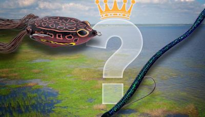 Which Bass Fishing Lures Are the King of Kissimmee In May: Local Pro's Secrets