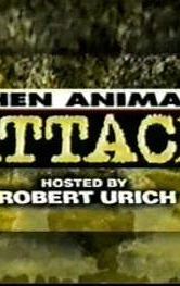 When Animals Attack!