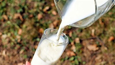 補鈣不一定要喝牛奶！醫激推4食物：還能增肌、顧關節