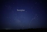 Scorpius