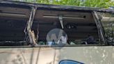 2 girls injured after tree branch smashes bus window in West Milford, NJ