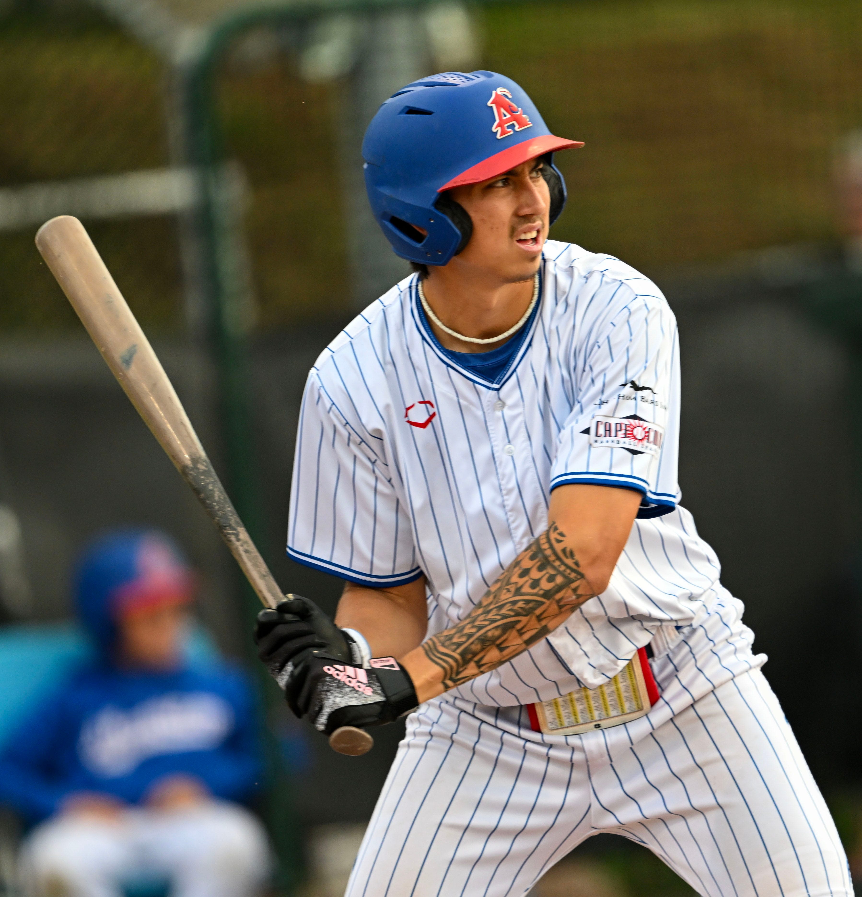 Chatham Anglers shortstop Aiva Arquette represents Hawaii every time he takes the field