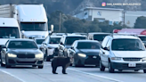 Bear brings traffic to a halt on busy Southern California freeway