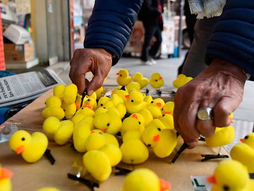 Los patitos Kawaii son furor en Roca y Bariloche: la moda adolescente que traspasa fronteras - Diario Río Negro