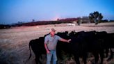 Firefighters gain ground against Southern California wildfire but face dry, windy weather