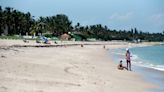 'Not as bad as expected': Sargassum plentiful this year, but not record-setting