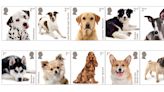 New stamps issued featuring images of popular dog breeds