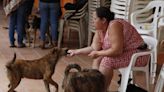 La mujer a la que sus cuatro perros le salvaron la vida tras avalancha en Colombia