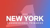 RESULTS: Democrat Pat Ryan wins special election in Upstate New York battleground district