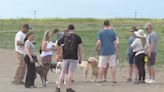 Westminster city leaders discuss future of off-leash dog park in Denver metro area