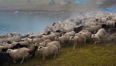 Experience Greenland’s Inuit and Viking sheep farms on this stunning trail