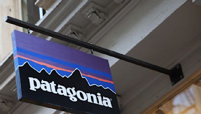 Privacy-Centric Lawsuit Against Patagonia Shows AI’s Murky Legal Footing